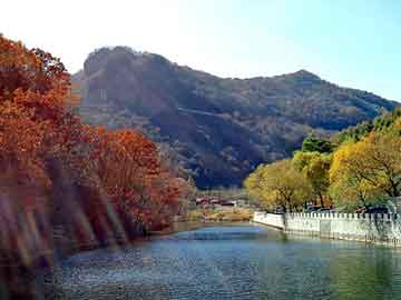 澳门二四六天天彩图库，地垫设备